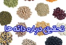 تحقیق درباره دانه ها