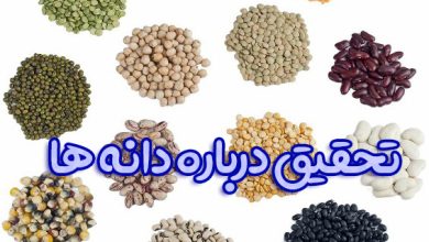 تحقیق درباره دانه ها