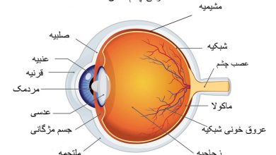 تحقیق درباره چشم کلاس پنجم