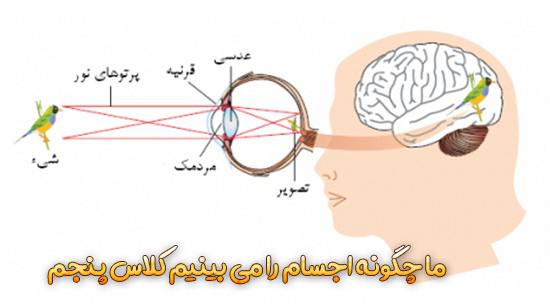 ما چگونه اجسام را می بینیم