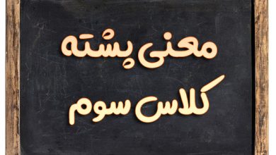 معنی پشته