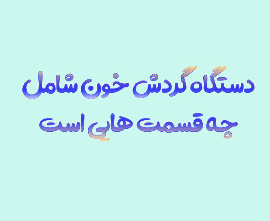 دستگاه گردش خون شامل چه قسمت هایی است علوم چهارم