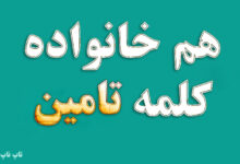 هم خانواده کلمه تامین