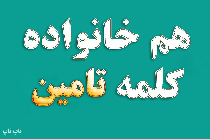 هم خانواده کلمه تامین