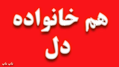 هم خانواده کلمه دل