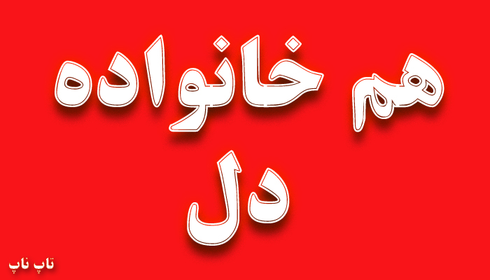 هم خانواده کلمه دل