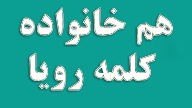 هم خانواده کلمه رویا