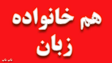 هم خانواده کلمه زبان