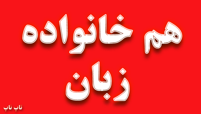 هم خانواده کلمه زبان