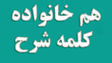 هم خانواده کلمه شرح