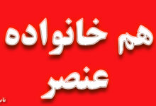 هم خانواده کلمه عنصر