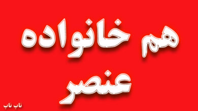 هم خانواده کلمه عنصر