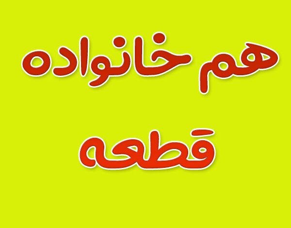 هم خانواده کلمه قطعه