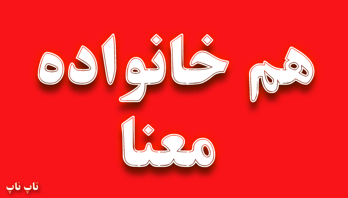 هم خانواده کلمه معنا