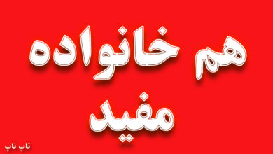 هم خانواده کلمه مفید