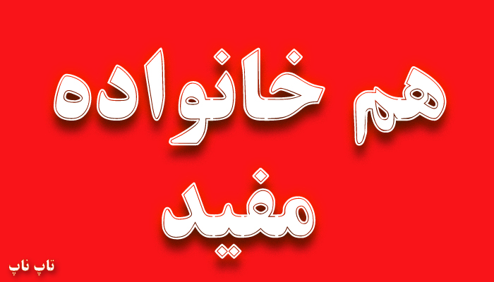 هم خانواده کلمه مفید