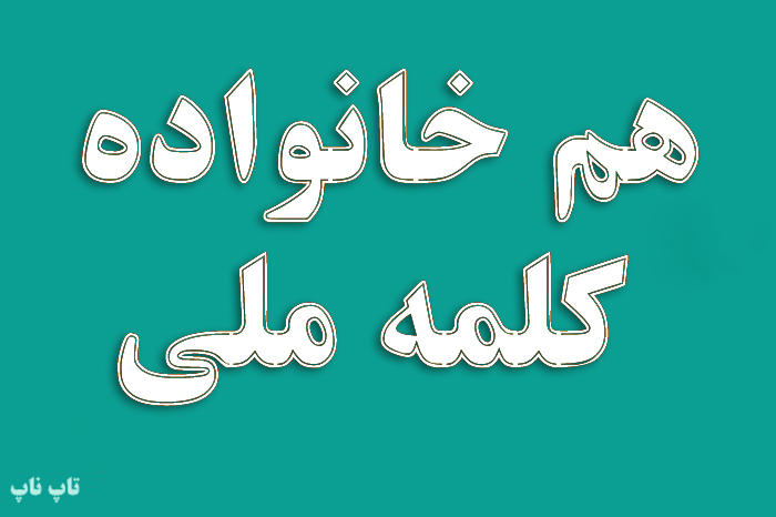 هم خانواده کلمه ملی