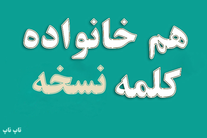 هم خانواده کلمه نسخه