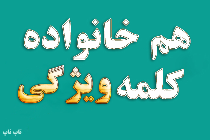 هم خانواده کلمه ویژگی