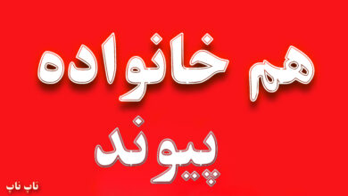 هم خانواده کلمه پیوند