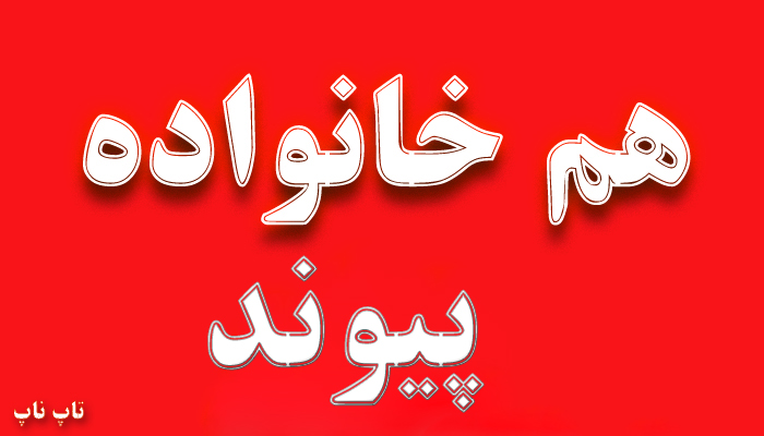 هم خانواده کلمه پیوند