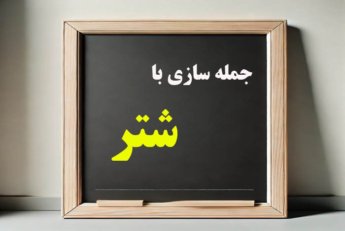 جمله سازی با شتر