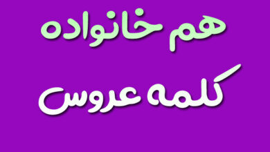 هم خانواده کلمه عروس