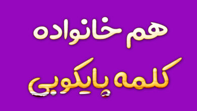 هم خانواده کلمه پایکوبی