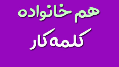 هم خانواده کلمه کار