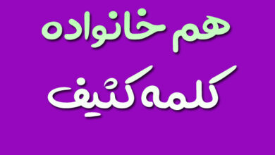 هم خانواده کلمه کثیف