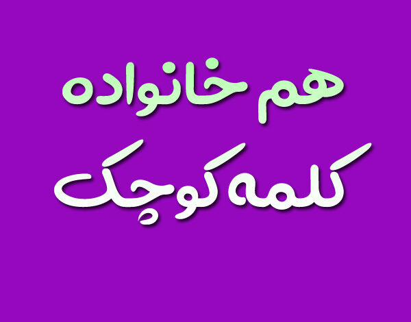 هم خانواده کلمه کوچک