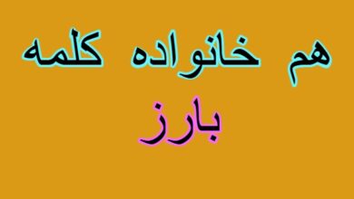 هم خانواده کلمه بارز