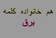 هم خانواده کلمه برق