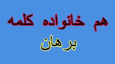 هم خانواده کلمه برهان