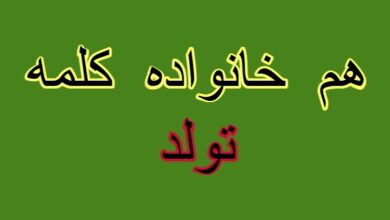 هم خانواده کلمه تولد