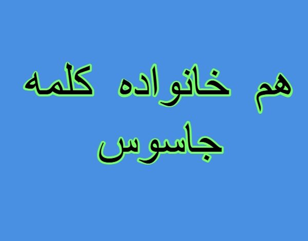 هم خانواده کلمه جاسوس