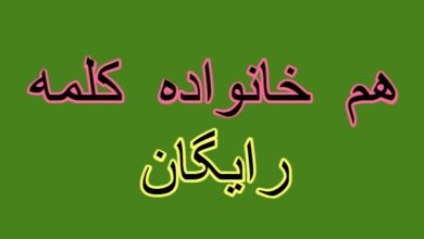 هم خانواده کلمه رایگان