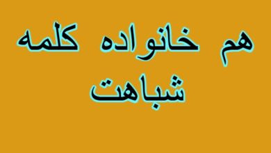 هم خانواده کلمه شباهت