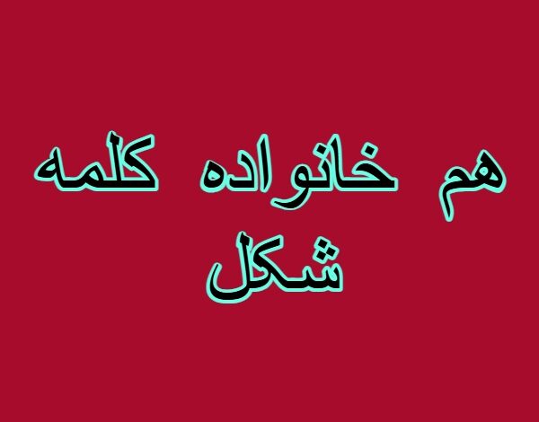 هم خانواده کلمه شکل