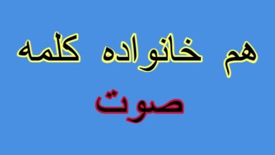 هم خانواده کلمه صوت