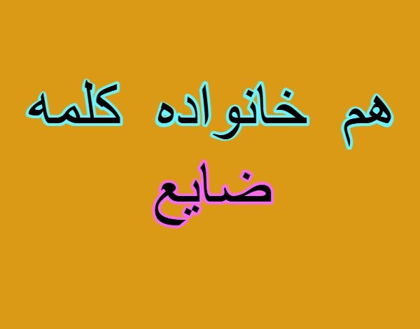 هم خانواده کلمه ضایع