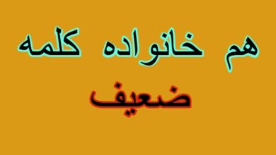 هم خانواده کلمه ضعیف