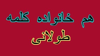 هم خانواده کلمه طولانی