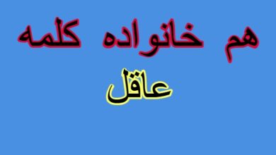 هم خانواده کلمه عاقل