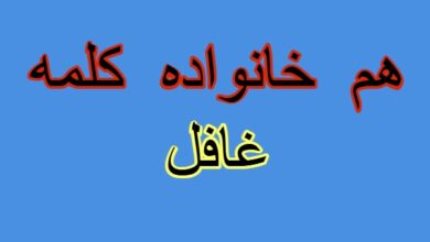 هم خانواده کلمه غافل