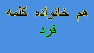 هم خانواده کلمه فرد