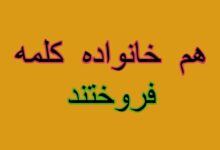 هم خانواده کلمه فروختند