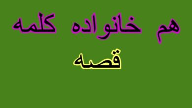 هم خانواده کلمه قصه