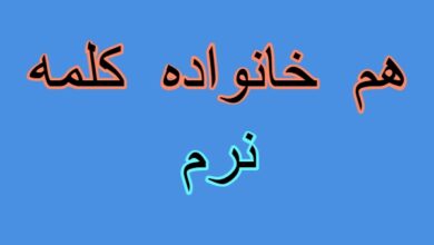 هم خانواده کلمه نرم