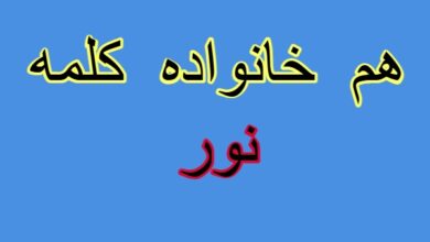 هم خانواده کلمه نور